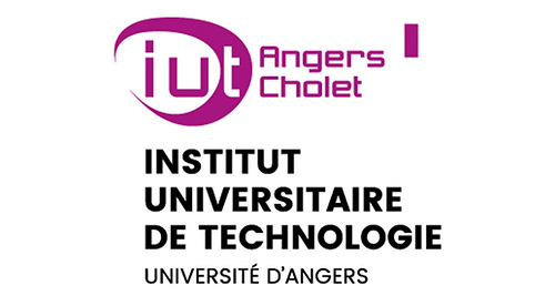 iut angers